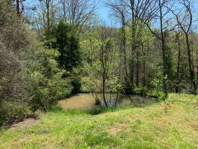 1125 Harmon Rd, Somerset, KY 42501 - photo 4