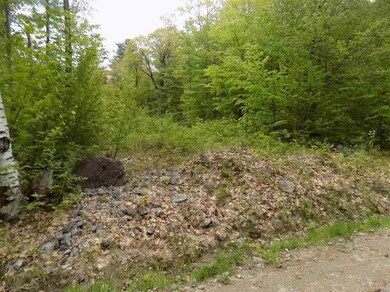 451 Bailey Rd, Washington, NH 03280 - photo 2