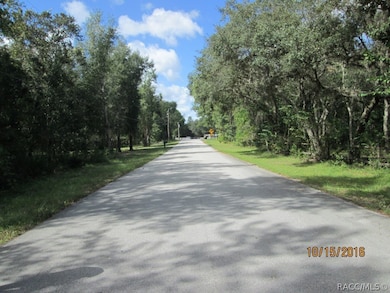 1630 E Sheridan Ln, Hernando, FL 34442 - photo 4