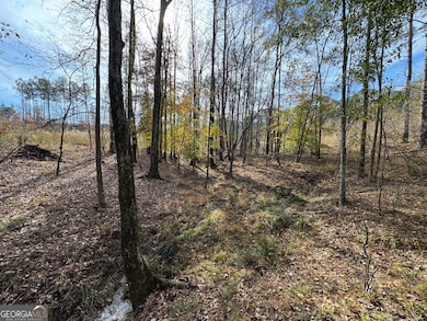 0 Old Middleton Rd unit 10651016, Elberton, GA 30635 - photo 7