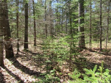 0 Pemaquid Harbor Rd unit 1308197, Bristol, ME 04539 - photo 3