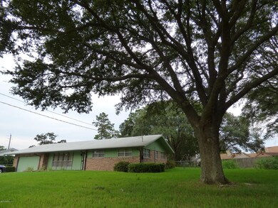 8223 Altama Rd, Jacksonville, FL 32216 - photo 6