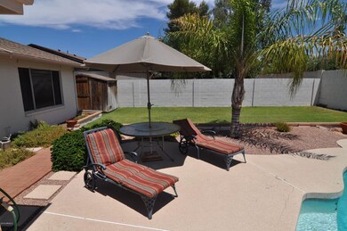 5 Back Yard Pool Deck & Yard