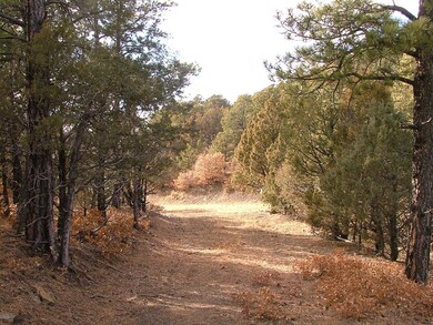 0 Hiddenwood Ln, Trinidad, CO 81082 - photo 5