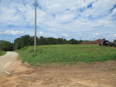 6 Winding Rd, Bowdon, GA 30108 - photo 6