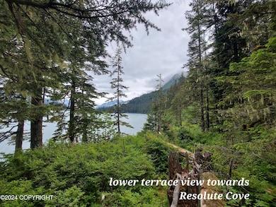 Tract B Asls 86-175 Day Harbor, Seward, AK 99664 - photo 7