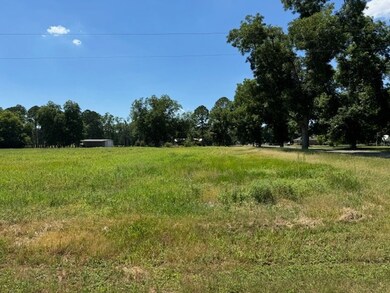 0 Haralson St unit 137599, Rebecca, GA 31783 - photo 3