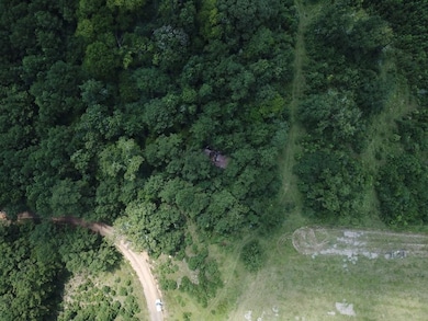 2800 County Road 441, Magnolia Springs, TX 75956 - photo 5