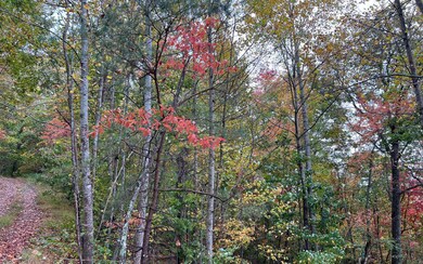 Additional View