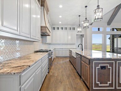 412 Royal Santana Run, Brock, TX 76087 - photo 6