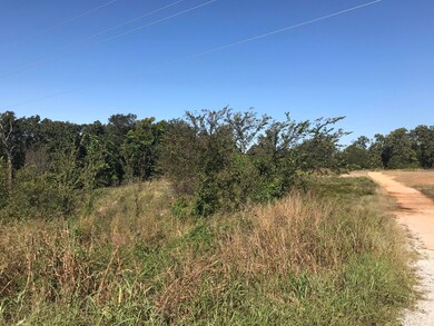 TBD Oklahoma 28, Langley, OK 74350 - photo 4