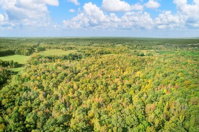 1975 Bethlehem Rd, Moscow, TN 38057 - photo 5