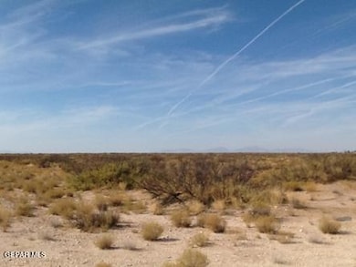 218502 Lima Dr, Agua Dulce, TX 79928 - photo 4