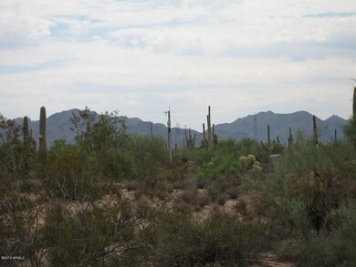 McDowell Mountains
