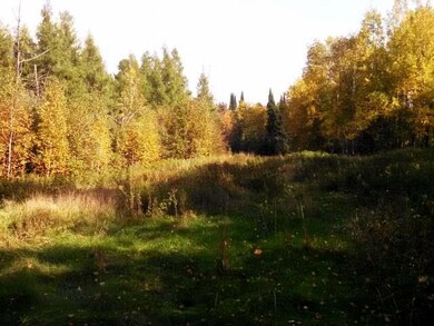 8 Acres Duck Ln, Deerbrook, WI 54424 - photo 2