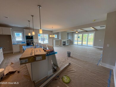 132 Flat Clam Dr, Wilmington, NC 28401 - photo 6