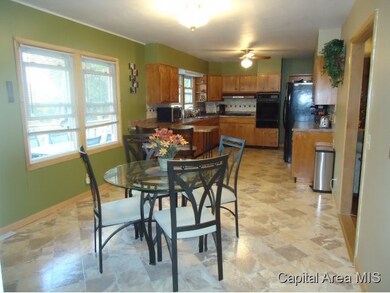 181 W Union St, Virginia, IL 62691 - photo 5