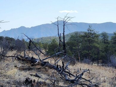 Burn Scar