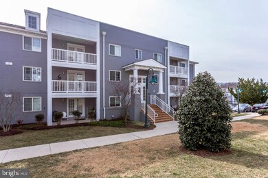 4111 S Four Mile Run Dr unit 302, Arlington, VA 22204 - photo 3