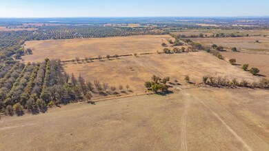 TBD County Road 426 unit 153, de Leon, TX 76444 - photo 7