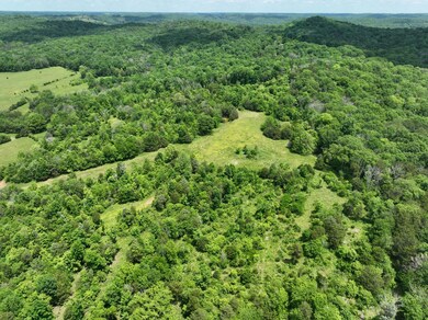 0 Moore Hollow Rd, Prospect, TN 38477 - photo 4