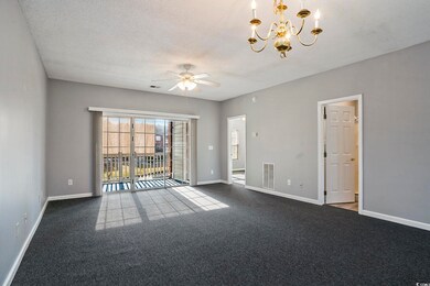 3935 Gladiola Ct unit 203, Myrtle Beach, SC 29588 - photo 3