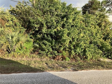 3709 NE 16th Ave, Cape Coral, FL 33909 - photo 2