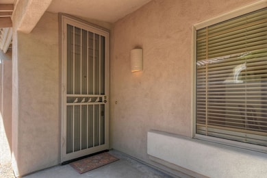 Security Door