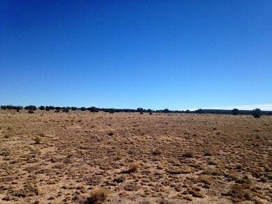 10 Off of Tanner Rd, Ash Fork, AZ 86320 - photo 4