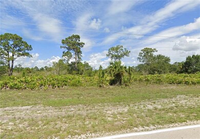 648 Columbus Blvd S, Lehigh Acres, FL 33974 - photo 3