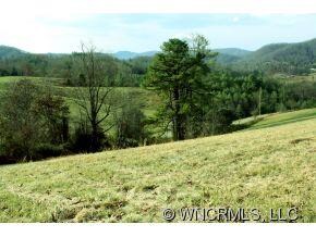 000 Watsell Dr unit 21, Leicester, NC 28748 - photo 3