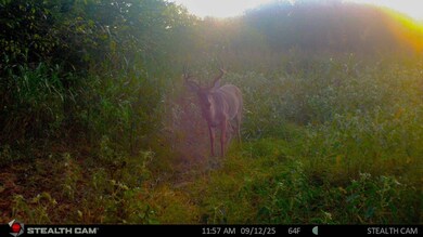 Highway 31, Coalgate, OK 74538 - photo 7