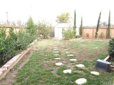 Big backyard