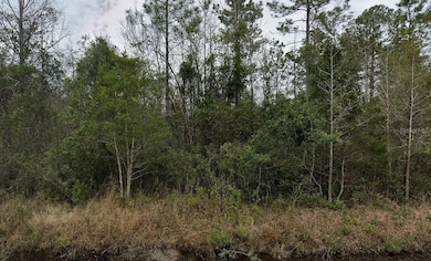 4220 Isaac St, Flagler Estates, FL 32145 - photo 4