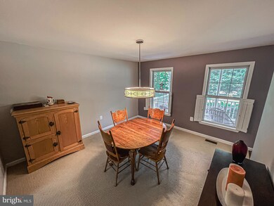 37590 Cecilia Ln, Purcellville, VA 20132 - photo 6