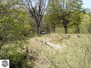 3413 Pine St, Hale, MI 48739 - photo 6