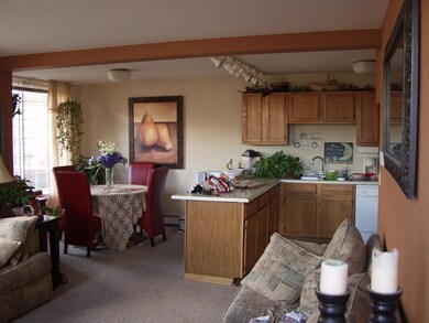 Living, dining, kitchen
