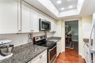 Hathaway Tower unit U807, Richmond, VA 23225 - photo 4