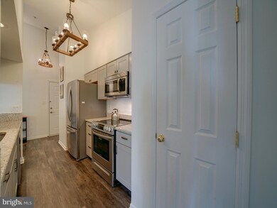 6355 Green Field Rd unit 1611, Elkridge, MD 21075 - photo 5