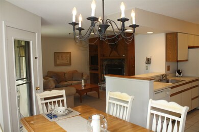 75 E Birch Rd unit 35, Stratton, VT 05360 - photo 6