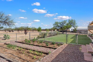 Travis main house garden lots of mesquit