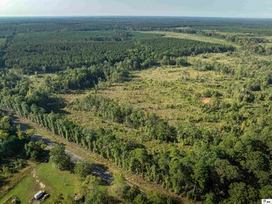 000 Highway 143, Linville, LA 71206 - photo 4