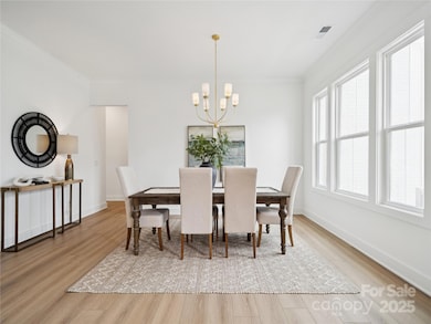 5108 Mint Harbor Way unit 407, Charlotte, NC 28269 - photo 3