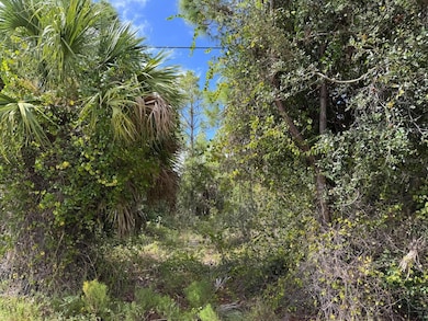 13612 Keystone Blvd, Port Charlotte, FL 33981 - photo 3