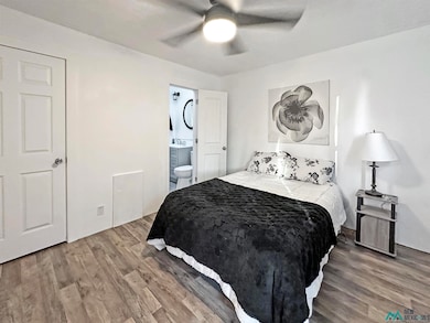 306 N Lake St, Carlsbad, NM 88220 - photo 7