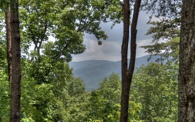 Additional View
