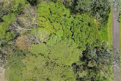 0 S Nenue St unit 725903, Pahoa, HI 96778 - photo 5
