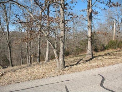 Lot 23 Irish Hills Blvd, Kimberling City, MO 65686 - photo 2