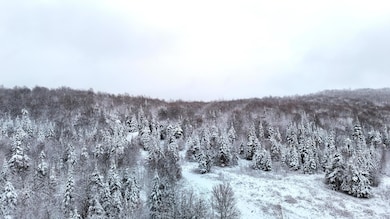 873 Walkerville Rd, Brandon, NY 12966 - photo 3