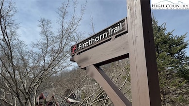 TBD Lot 120 Firethorn Trail, Blowing Rock, NC 29605 - photo 3